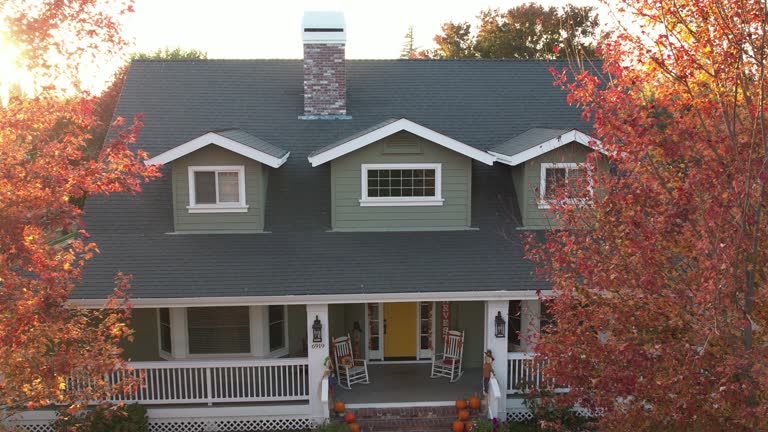 Best Roof Maintenance and Cleaning  in Chester, VA